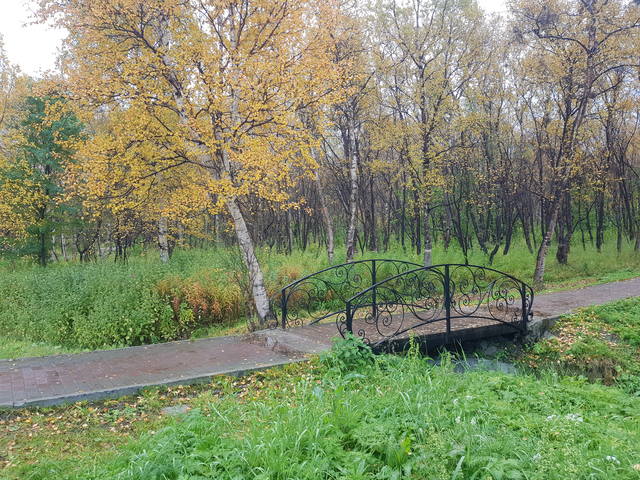 VFL.RU - ваш фотохостинг