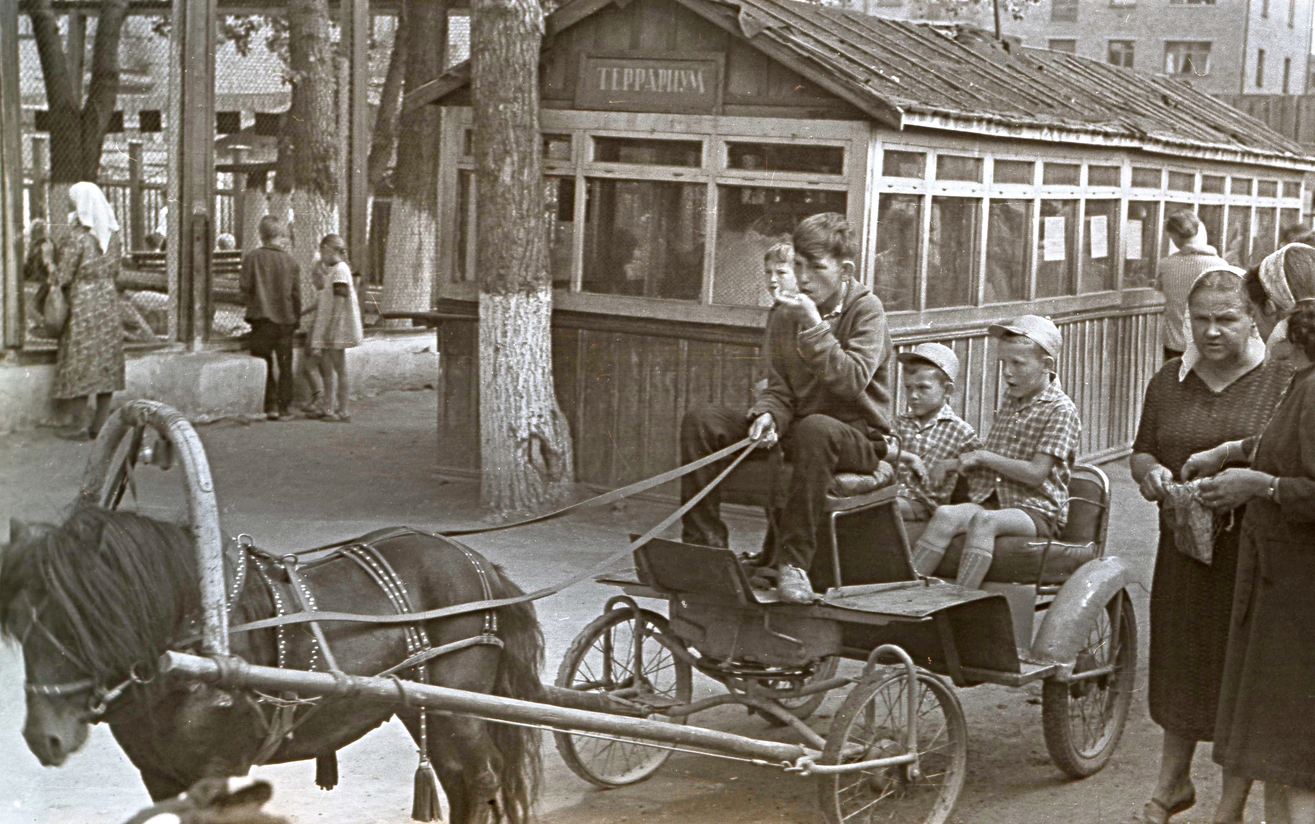 Новосибирск. Старый зоопарк на ул Гоголя автор фото Казимирчик В. С 1967 год