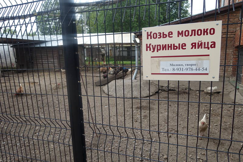 Староладожский женский монастырь Староладожский женский монастырь