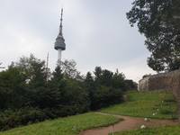 VFL.RU - ваш фотохостинг