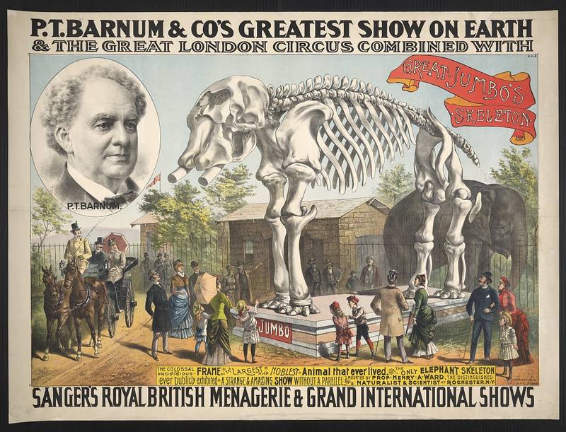 p-t-barnum p-t-barnum