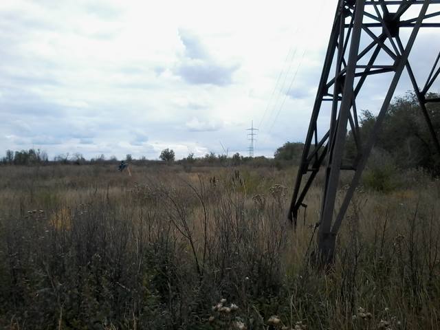 VFL.RU - ваш фотохостинг