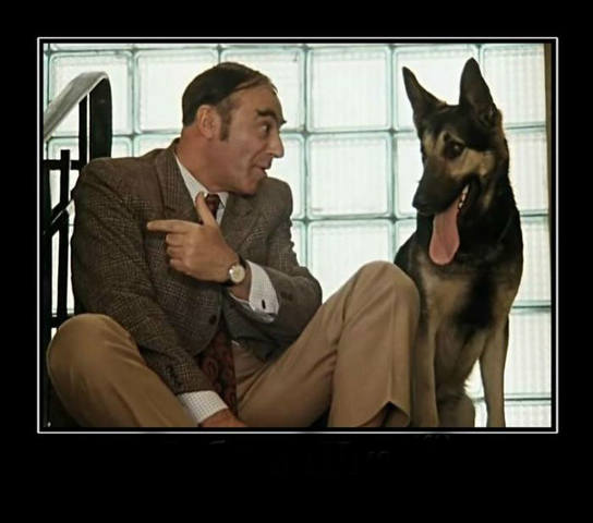 VFL.RU - ваш фотохостинг