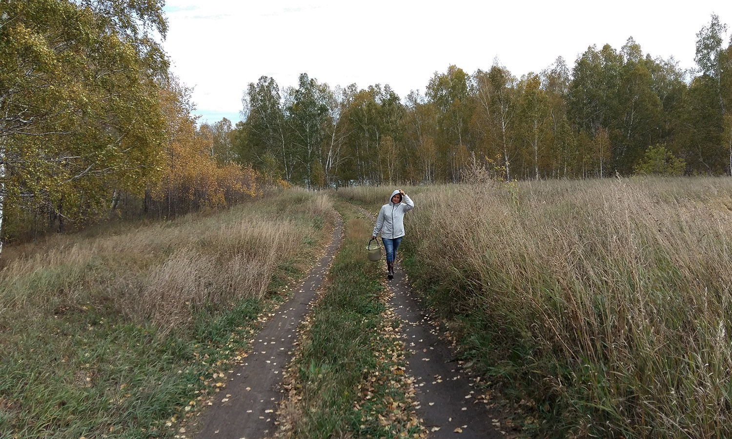 Грибы 9