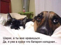 VFL.RU - ваш фотохостинг