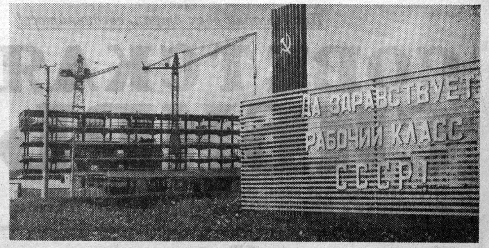 Копия