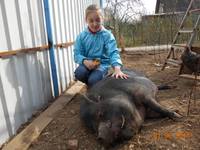 VFL.RU - ваш фотохостинг