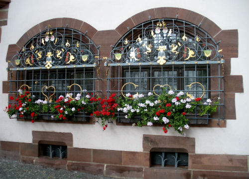 Freiburg-New-Town-Hall-Window-Blooms