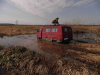 VFL.RU - ваш фотохостинг