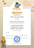 КВС-ПММ № 59-228-Ребенчук Ирина Вячеславовна