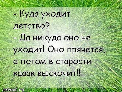 3ж