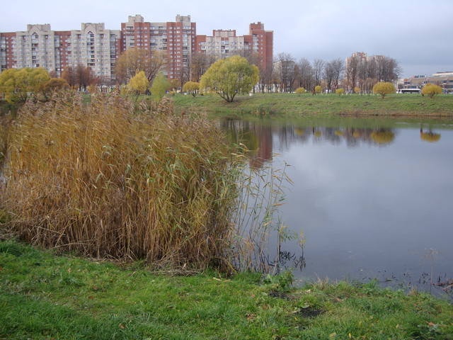 VFL.RU - ваш фотохостинг