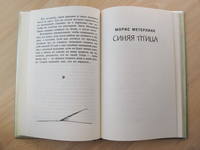 5343 12