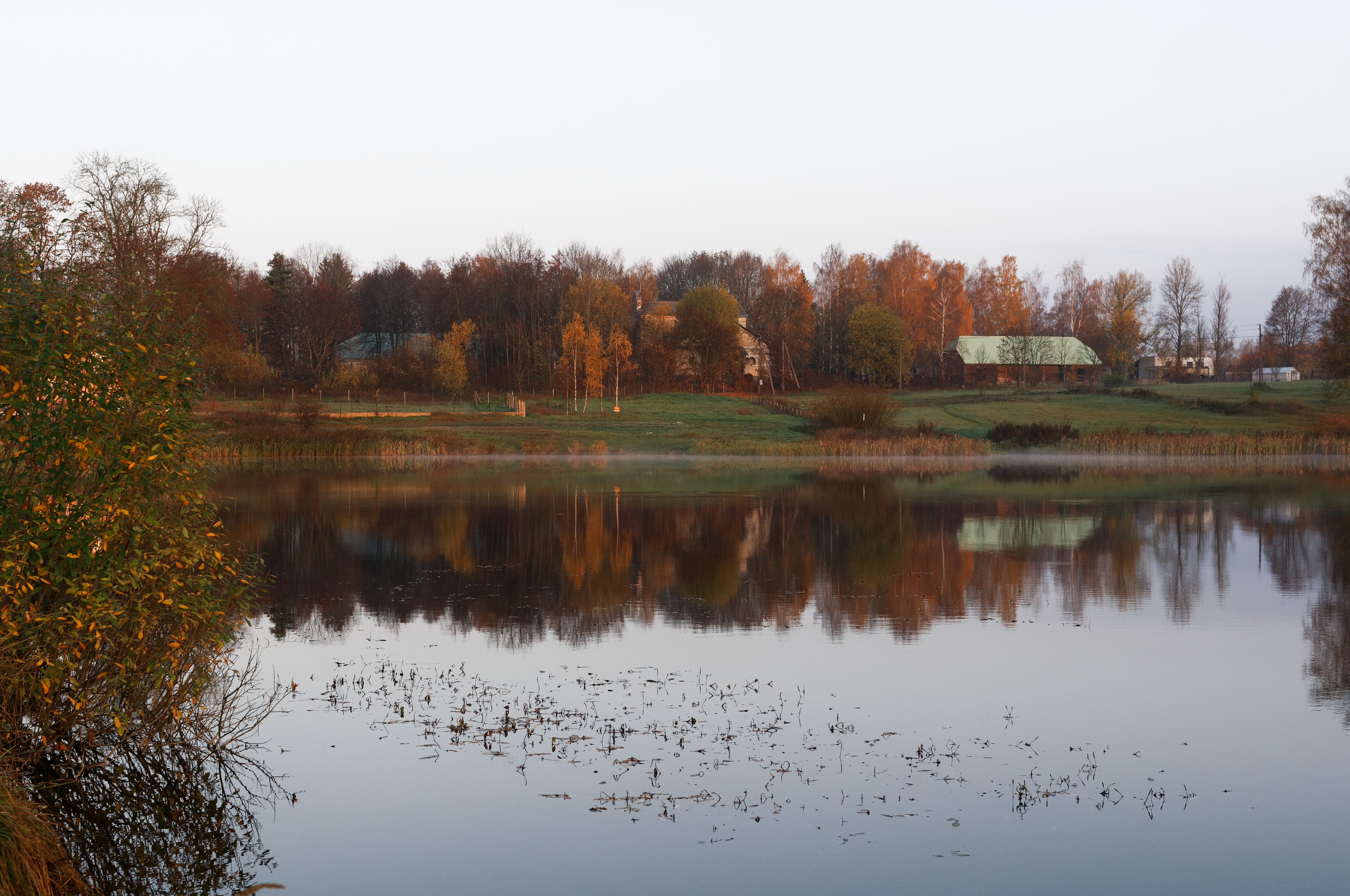 DEM 4396 DxO D300s rytas rukas