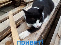VFL.RU - ваш фотохостинг