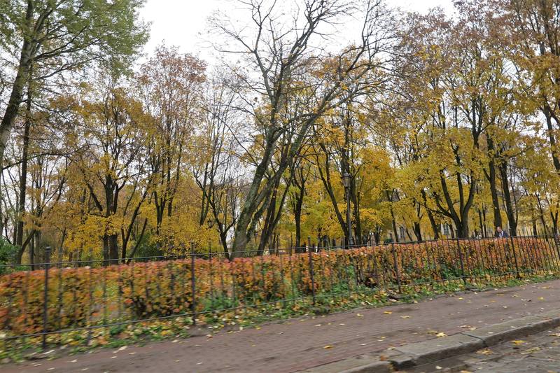 Центр Выборга Центр Выборга
