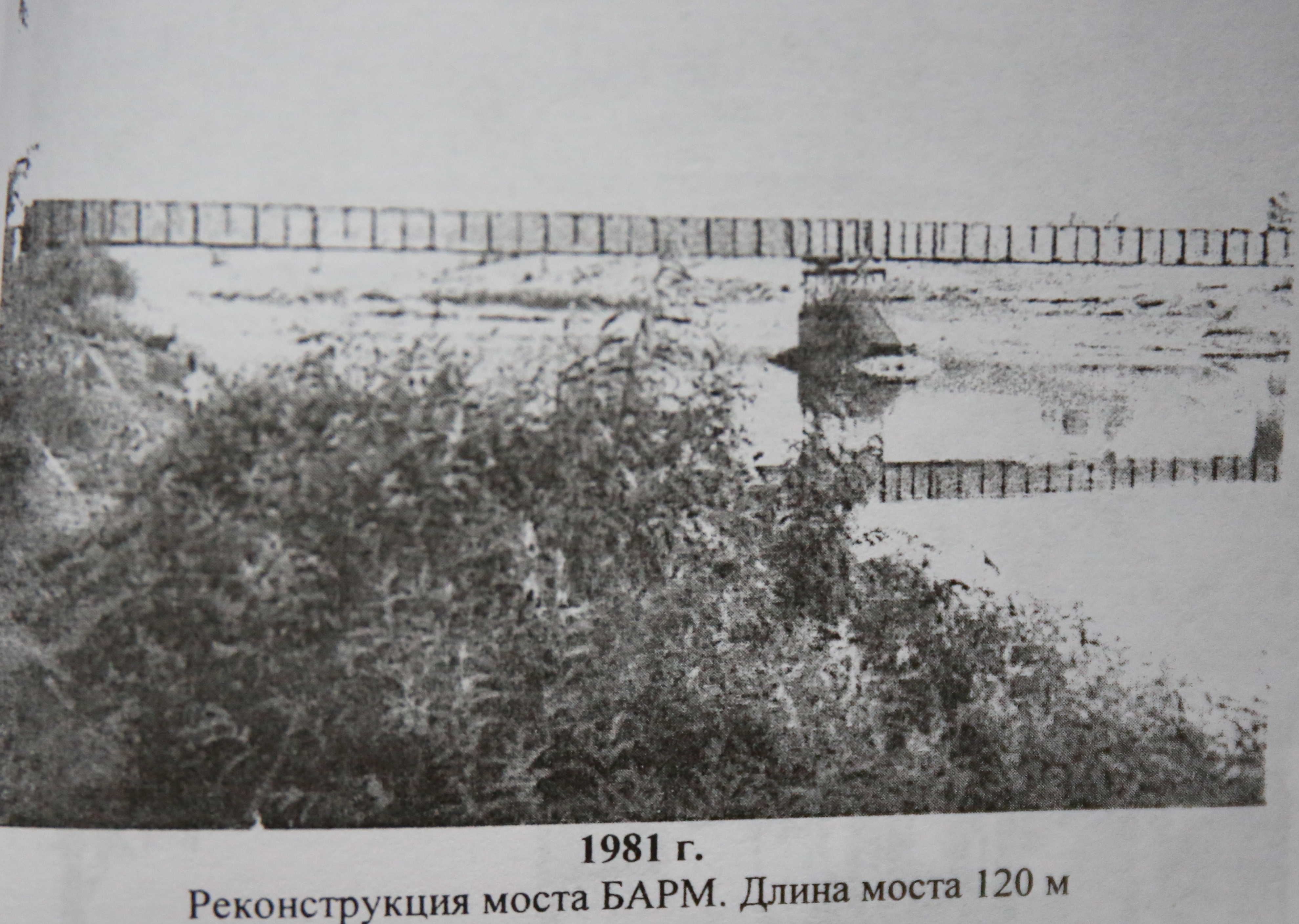 HL0A5829