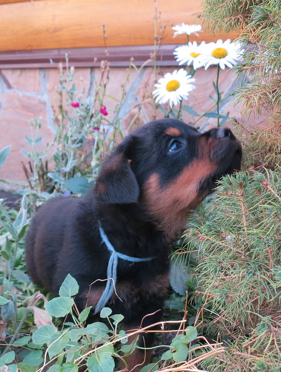 ррррррррррррррррррррррррррр