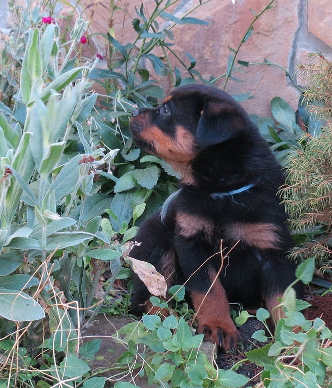 рррррррррррррррррррррррррррррр