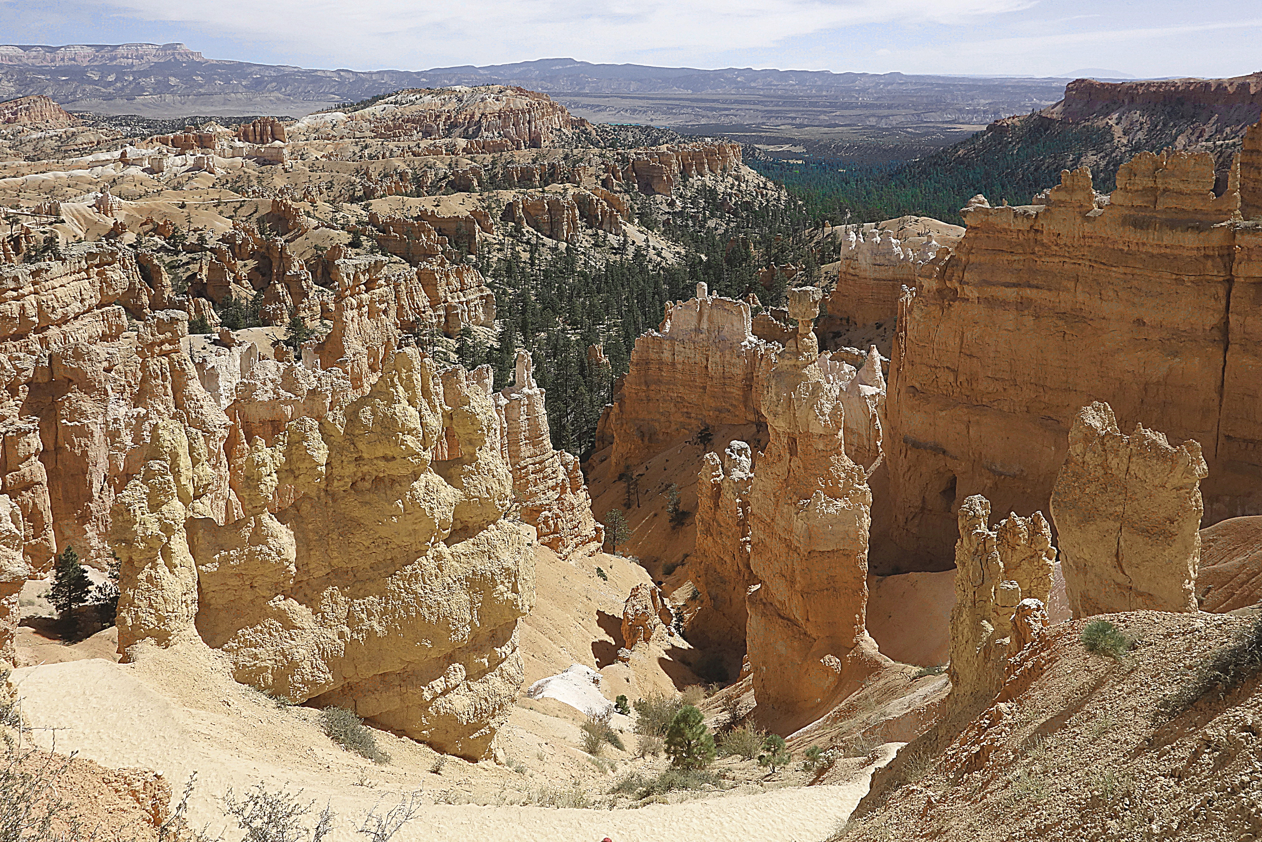 Скалы на дне Брайс-Каньона. Фото Морошкина В.В.