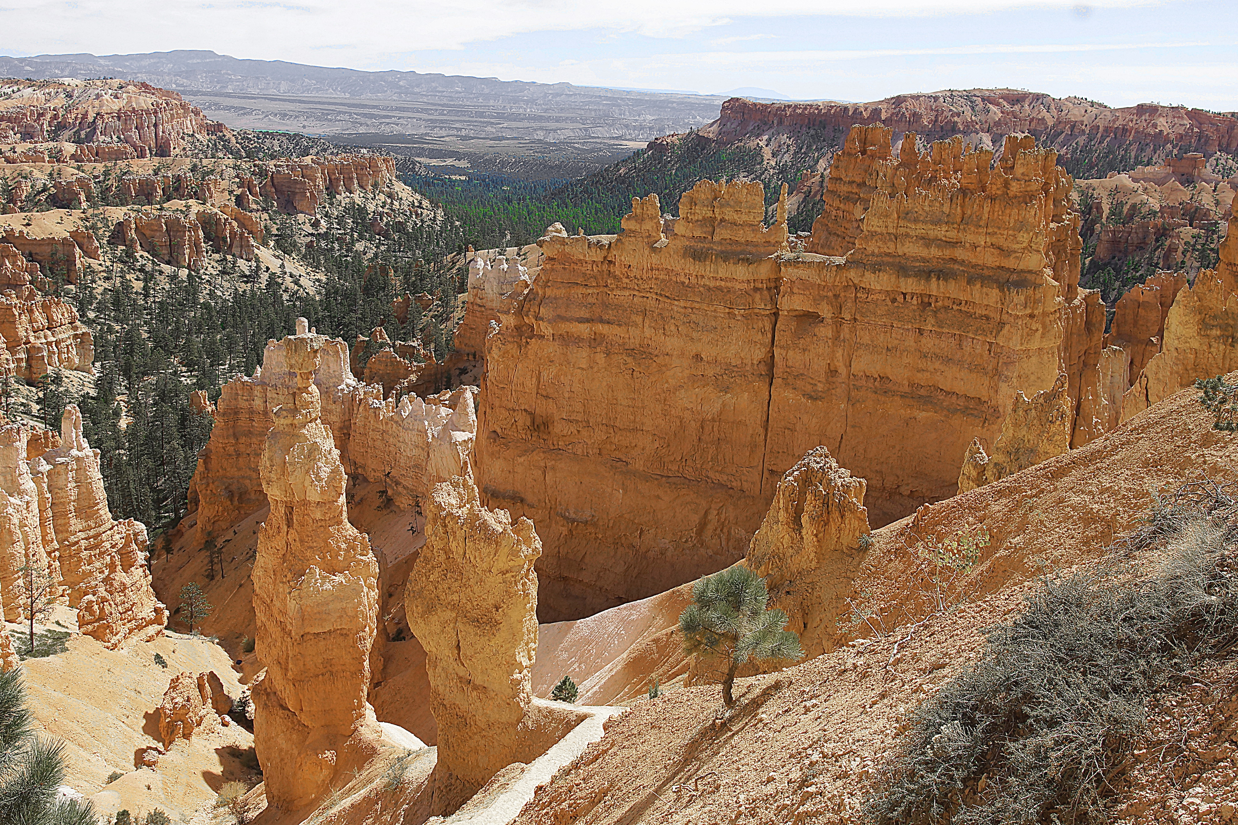 Скалы песчаника в Брайс-Каньоне, шт. Юта. Фото Морошкина В.В.