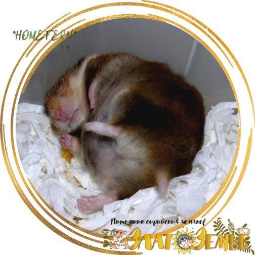 укаыл