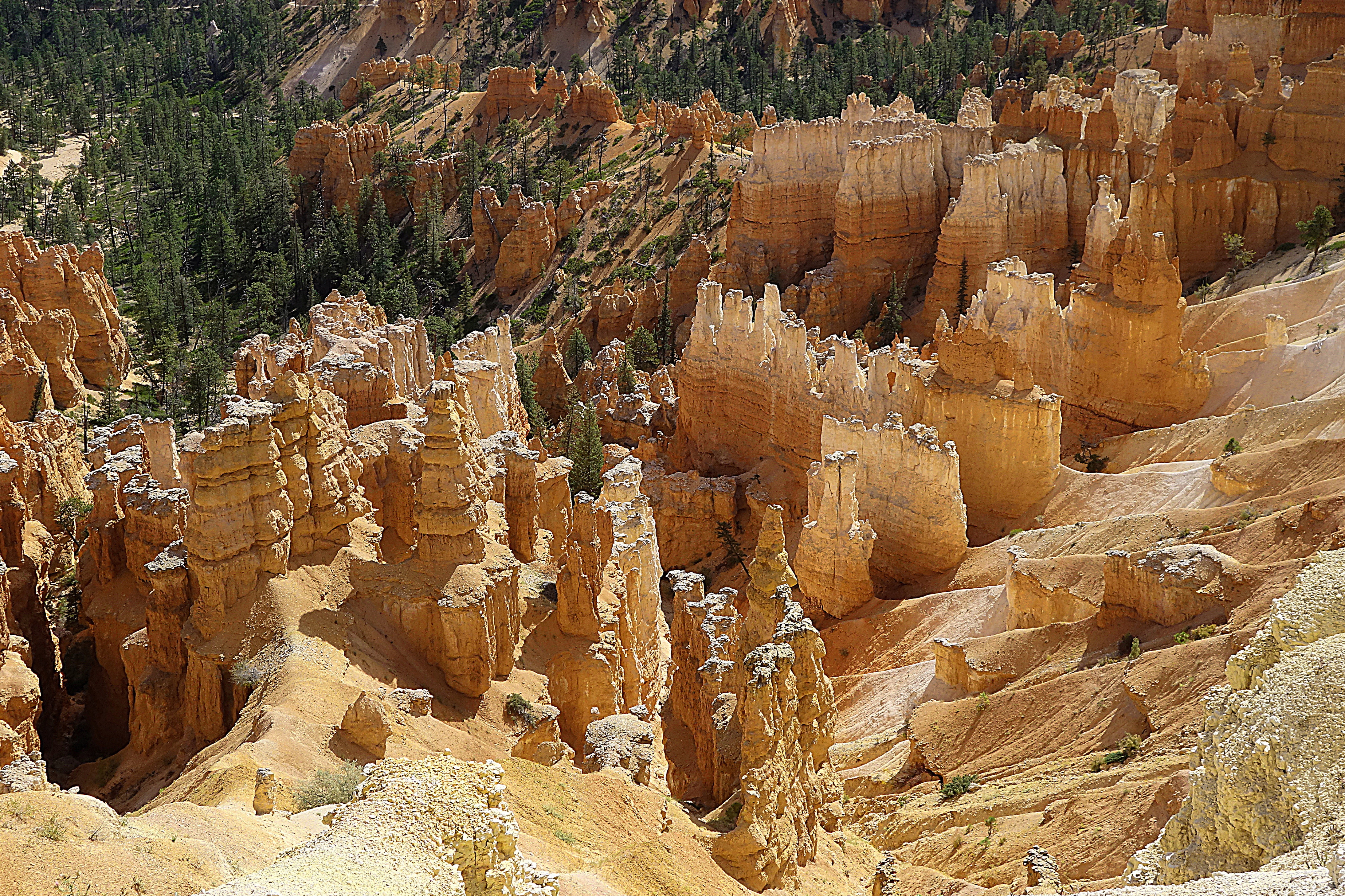 Скалы и останцы в Брайс-Каньоне, шт. Юта. Фото Морошкина В.В.