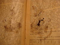 VFL.RU - ваш фотохостинг