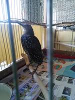 VFL.RU - ваш фотохостинг