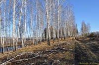 фото пейзаж1