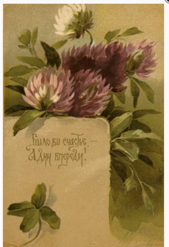 28444002_m.png