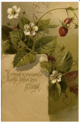 28444004_m.png