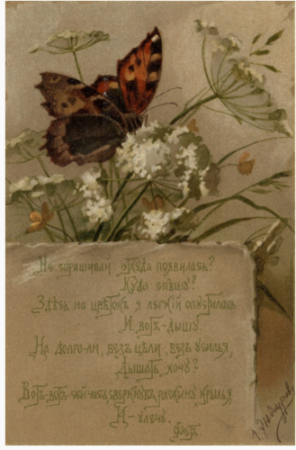 28444007_m.png