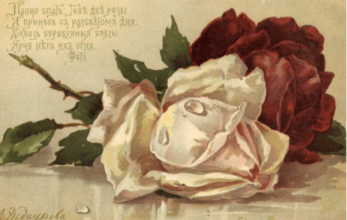 28444011_m.png