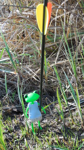 VFL.RU - ваш фотохостинг