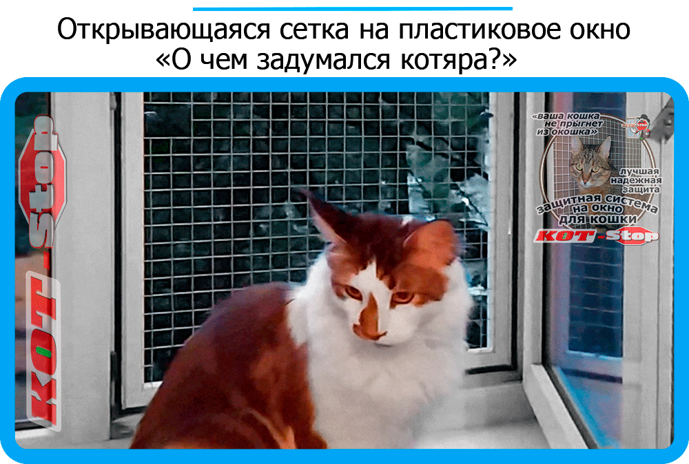 Включи кот стоп