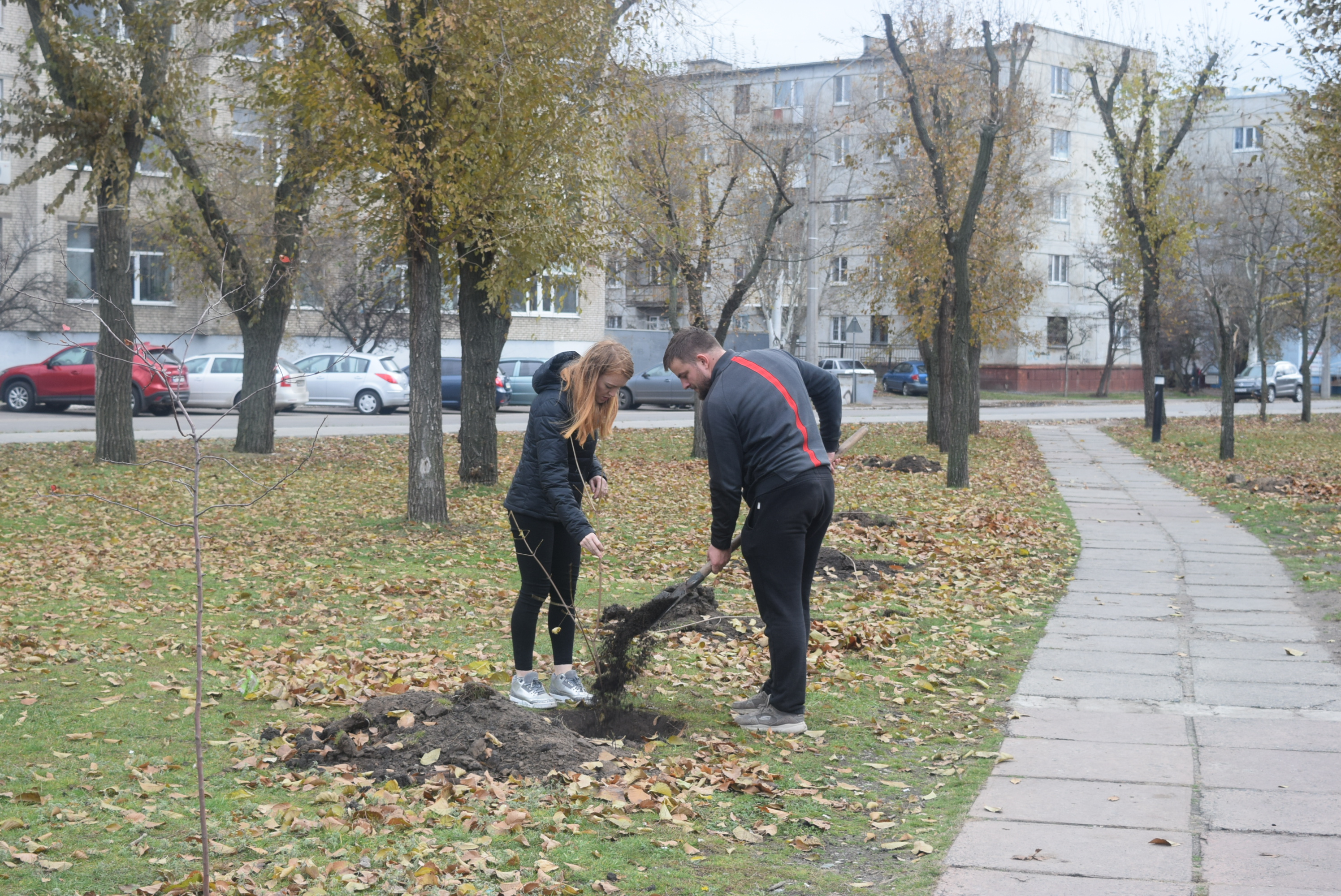sogodni-u-skveri-na-ploshchi-peremogi-visadzheno-kanadski-kleni 9