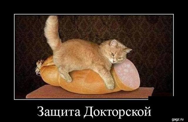 Защита докторской