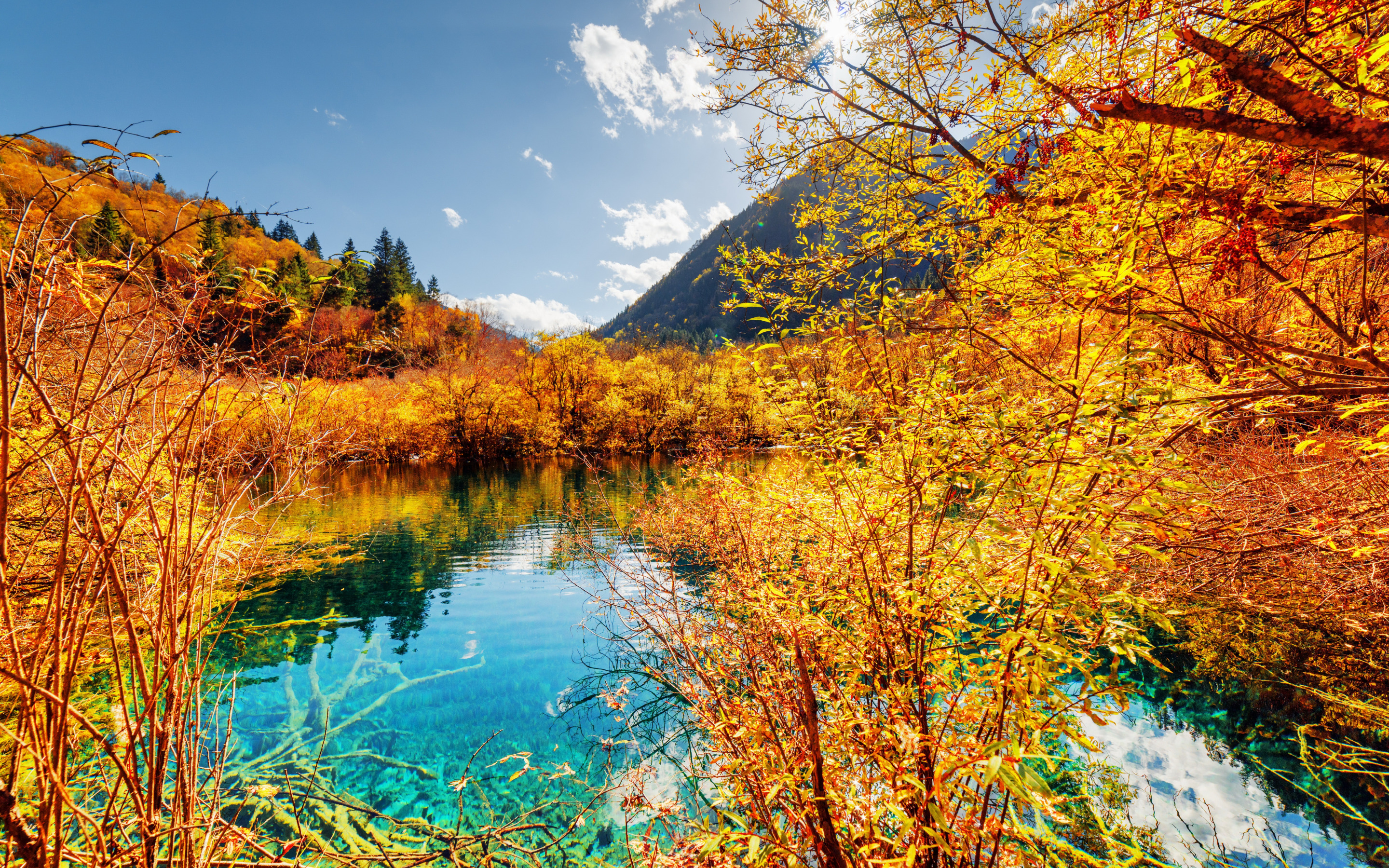 jiuzhai-valley-national-park-kitai-les-gory-osen-ozero-derev