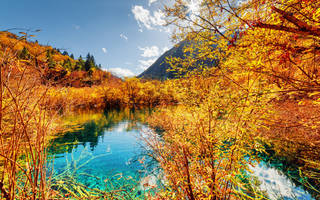 jiuzhai-valley-national-park-kitai-les-gory-osen-ozero-derev