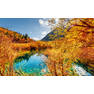 jiuzhai-valley-national-park-kitai-les-gory-osen-ozero-derev