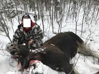 VFL.RU - ваш фотохостинг