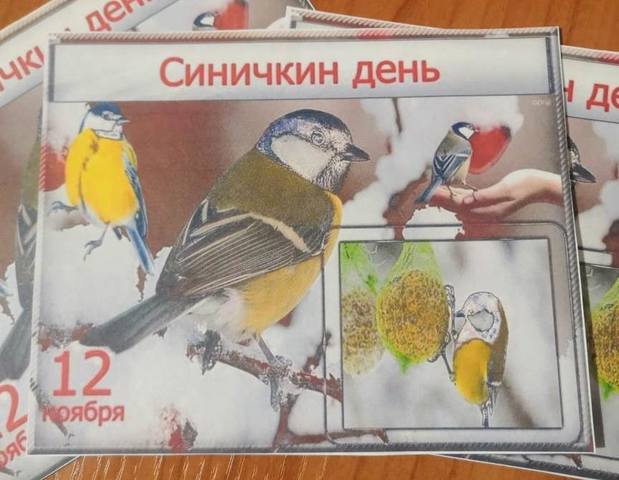 «Синичкин день в ДЮЦ»