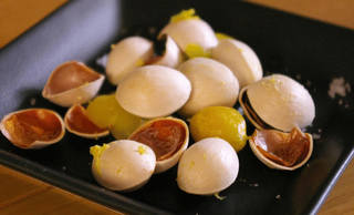 content gingko biloba nut