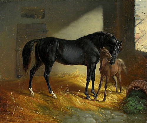 28549206_m.jpg