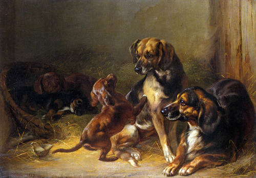 28549204_m.jpg
