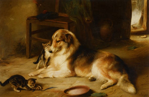 28549202_m.jpg