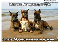 герасим