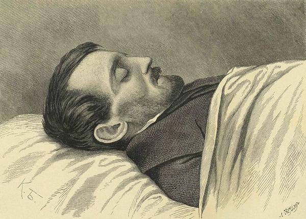 28558688_m.jpg