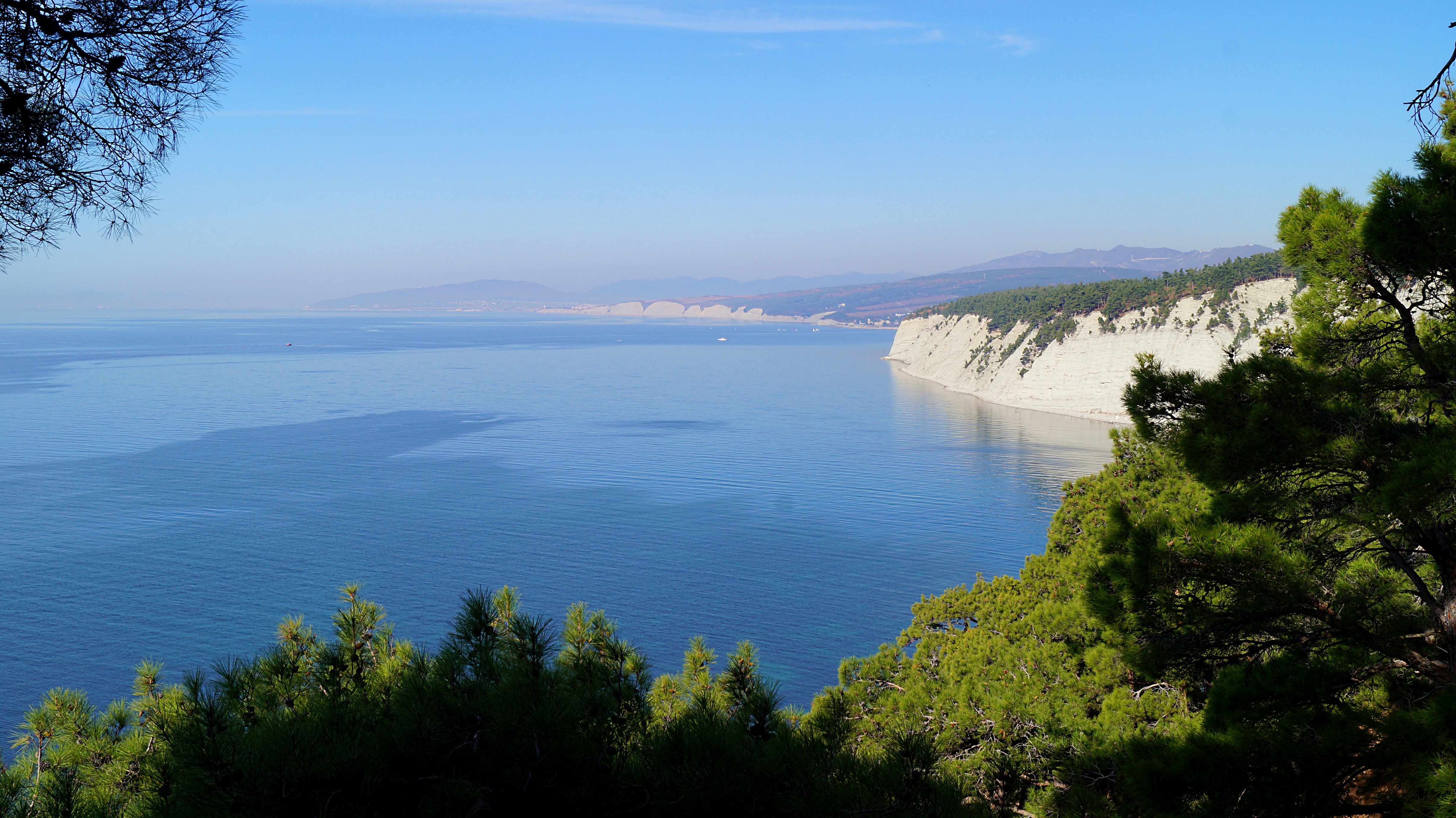 Опушка леса